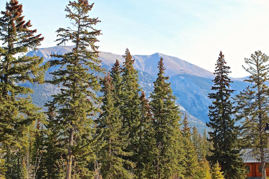 Luxury Canmore Vacations Extérieur photo