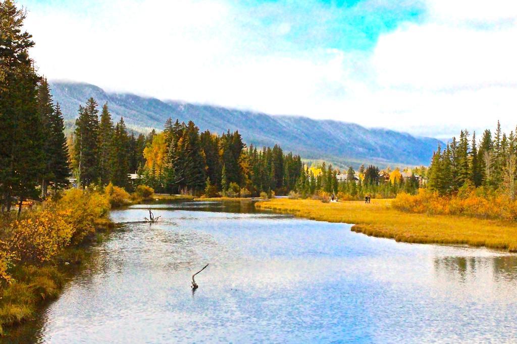 Luxury Canmore Vacations Extérieur photo